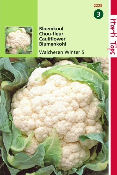 Blumenkohl Walcheren Winter 5 (Brassica) 150 Samen HT